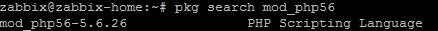 zabbix10