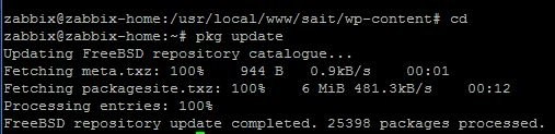 pkg update